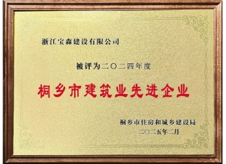 2024年度桐鄉(xiāng)建筑業(yè)先進企業(yè)