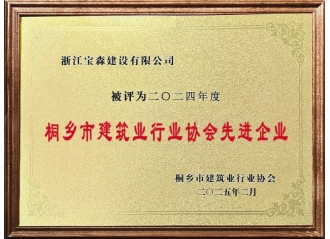 2024年建筑業(yè)行業(yè)協(xié)會先進